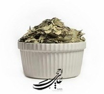 تصویر برگ ثنا اعلاء 