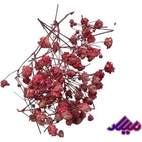 تصویر گل خشک ژیپسو صورتی G48 