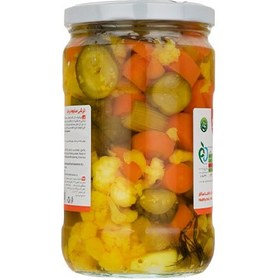 تصویر ترشی مخلوط بیژن - 670 گرم ا Pickled Bijan mixture - 670 g Pickled Bijan mixture - 670 g