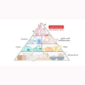 تصویر آدامس دراژه بدون شکر با طعم اکالیپتوس اکشن آدامس متفرقه ۲۵ گرم