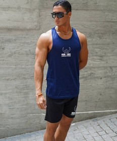 تصویر رکابی قهرمانی VIKING 