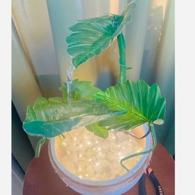 تصویر آبنمای برگ دکوری 