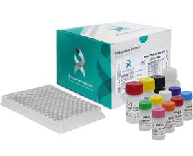 تصویر کیت الایزا پیشگامان 96 تستی - Free PSA Free PSA 96 Tests - Pishgaman Sanjesh