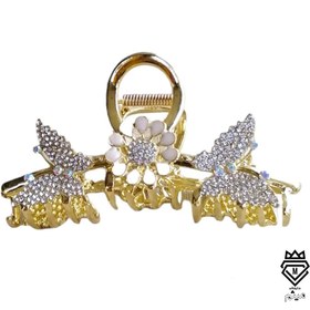 تصویر کلیپس نگین دار مجلسی 