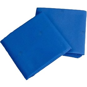 تصویر شان ساده 