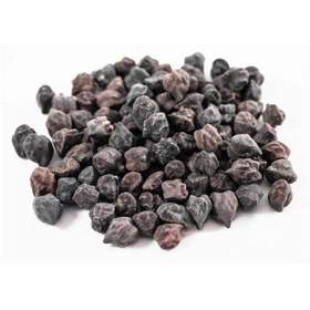 تصویر بذر نخود سیاه 10 عددی 