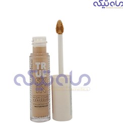 تصویر کانسیلر کاتریس True Skin High Cover شماره 020 Warm Beige حجم 4.5 میل 