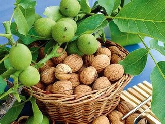 تصویر گردو با پوست 500g 