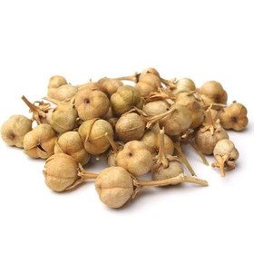 تصویر اسفند 