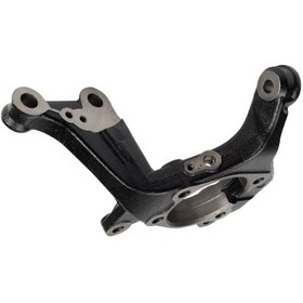 تصویر سگدست تیوولی راست 