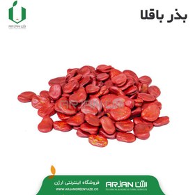 تصویر بذر باقلا ( پروفیت ایتالیا ) 