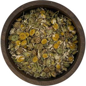 تصویر گل بابونه بخوری 