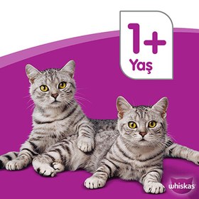 تصویر پوچ گربه بالغ ویسکاس مرغ در ژله 85 گرم (ترکیه) Whiskas Chicken 100g