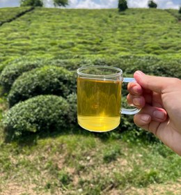 تصویر چای سبز وزین اعلا طعم اصالت، حس تازگی