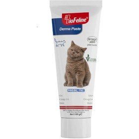 تصویر خمیر تقویت کننده پوست و مو گربه بیوفلاین مدل DERMA وزن 100 گرم Biofline cat hair skin strengthening DERMA w100g