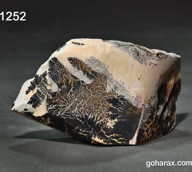 تصویر سنگ فسیل شجر دندریت 