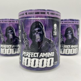 تصویر آمینو 450 گرم اسکول لبز FA SKULL LABS AMINO 450G