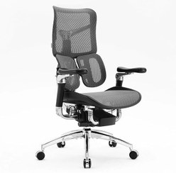 تصویر صندلی ارگونومیک SIHOO S300 Doro-S300 Ergonomic Office Chair