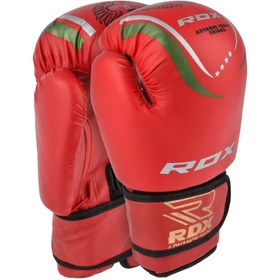 تصویر دستکش بوکس آر دی ایکس مدل lion 2025 مدل 1 