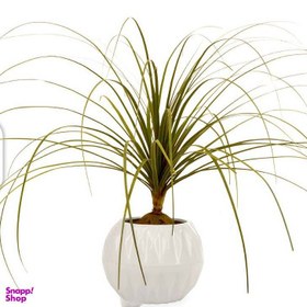 تصویر گلدان لیندا 