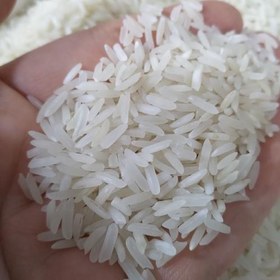 تصویر برنج طارم فجر ایرانی (10کیلویی) با ارسال رایگان 
