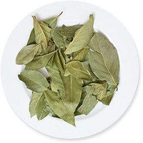 تصویر برگ بو 