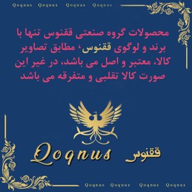 تصویر شیر پیسوار ققنوس مدل 1/2 Bonyan مجموعه 2 عددی 