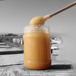 تصویر عسل رویال تقویتی ارگانیک - 500 گرمی 