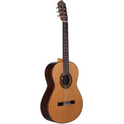 تصویر گیتار آلتامیرا Guitar Altamira N300C 