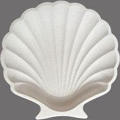تصویر ظرف دکوری مدل صدف 