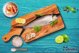 تصویر ماهی زیبا 