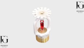 تصویر اسپرینگر شاهان 