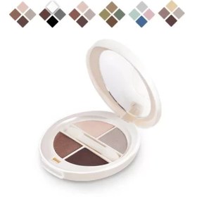 تصویر سایه چشم چهار رنگ درامتیک شون SCHON DRAMATIC QUAD EYESHADOW