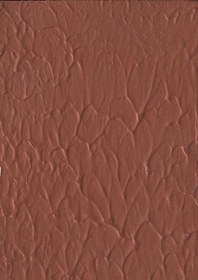 تصویر رنگ ترک الاستیکوت 