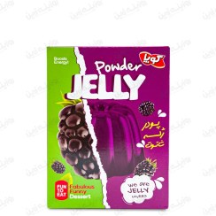 تصویر پودر ژله شاتوت کوپا 100 گرمی | طعمی شیرین و خاص از میوه‌های بومی 