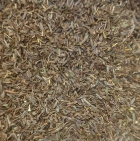 تصویر زیره سیاه 