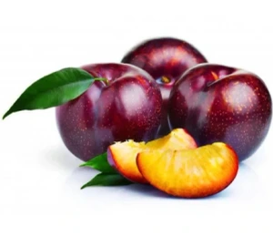 تصویر فروشگاه مزه باکس