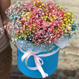 تصویر باکس گل عروس هفت رنگ 