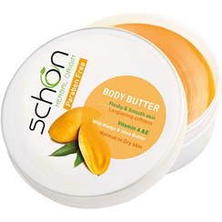 تصویر کره بدن انبه شون 