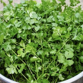 تصویر بذر گشنیز پایه بلند 20 گرمی 