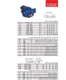 تصویر مشعل دوگانه سوز ایران رادیاتور مدل DP0 SP IranRadiator DP0 SP