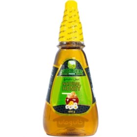 تصویر عسل طبیعی آمریکن فارم 400 گرم AMERICAN FARM American Farm natural honey 400 g