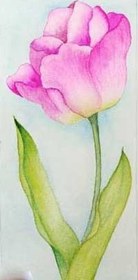 تصویر کارت پستال طرح گل لاله 