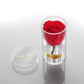 تصویر Crystal Infinity | Vibrant Red | ONE SIZE | کد: ZNB-1JE3 