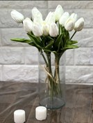 تصویر گل لاله 