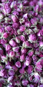 تصویر پودر گل محمدی 