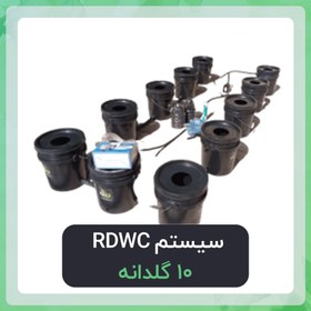 تصویر سیستم RDWC هیدروپونیک 10 سطل 