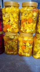 تصویر ترشی گل کلم زعفرانی یک کیلویی گیلان.رشت Northern Cauliflower Pickle