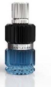 تصویر ادکلن انتنس جنتلمن100میل اصلی ادو پرفیوم Mirada Intense Gentleman (Pour Homme) 