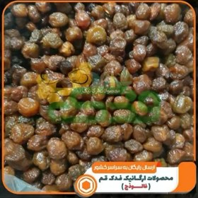 تصویر آلوخورشتی خراسان فدک (نیم کیلو) 